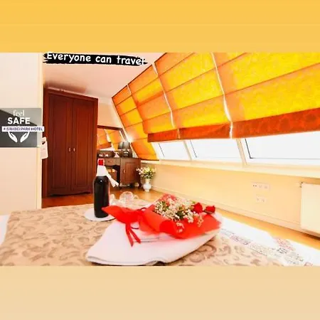 瑟科奇公园酒店 3* 伊斯坦布尔